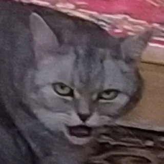 Sticker HatersGonnaHate - 0