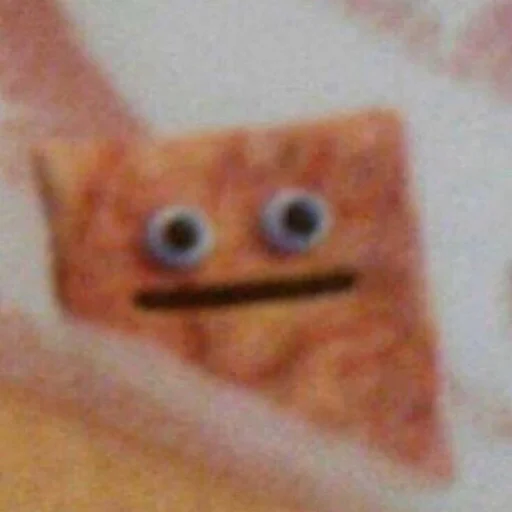 child art cat indoor