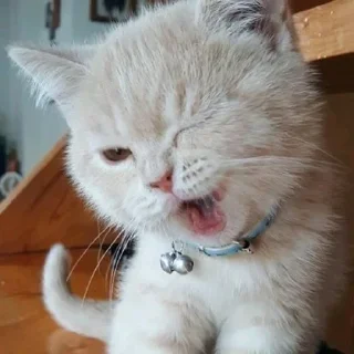 Стикер Больше стиков тут: @stikery4 - 8