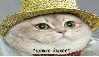 Стикер Больше стиков тут: @stikery4 - 8