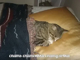 Стикер Больше стиков тут: @stikery4 - 7