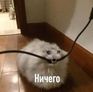 Стикер Больше стиков тут: @stikery4 - 1