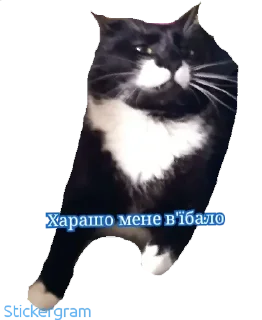 Sticker Алкашня - 11