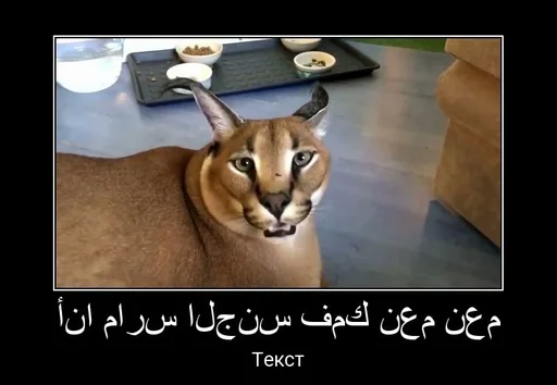 Sticker Шлёпа :: @fStikBot - 11