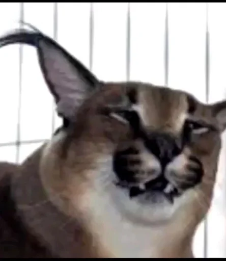 Sticker Шлёпа :: @fStikBot - 9