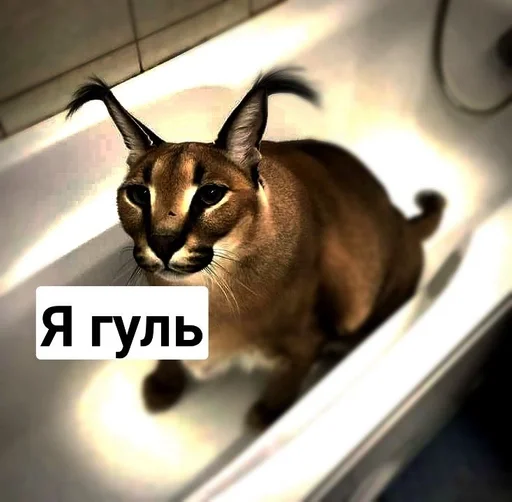Sticker Шлёпа :: @fStikBot - 6