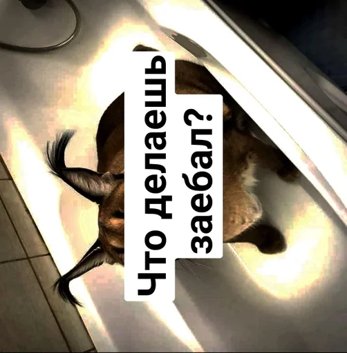 Sticker Шлёпа :: @fStikBot - 3