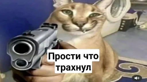 Sticker Шлёпа :: @fStikBot - 2