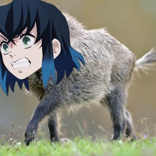 Стикер Hdjdjssj_jaj - 1