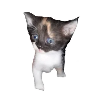 Стикер Хе хе - 1