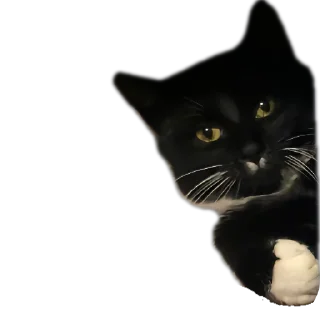 Стикер Хе хе - 2