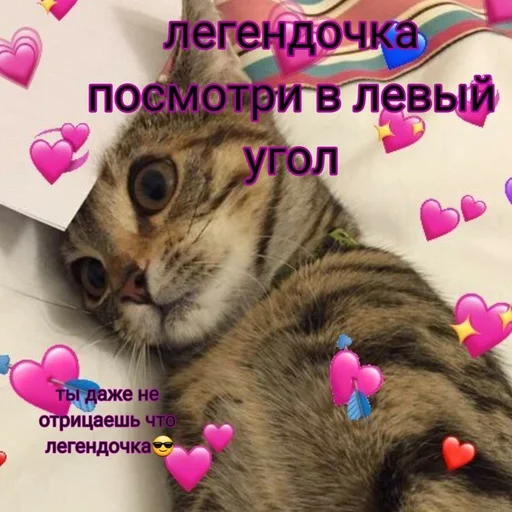 Sticker Kdnckr :: @fStikBot - 8