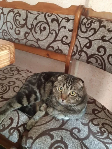 Sticker Kdnckr :: @fStikBot - 7