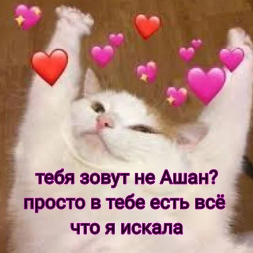 Sticker Kdnckr :: @fStikBot - 4