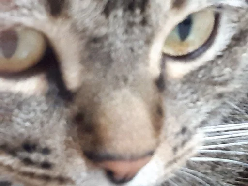 Sticker Kdnckr :: @fStikBot - 1