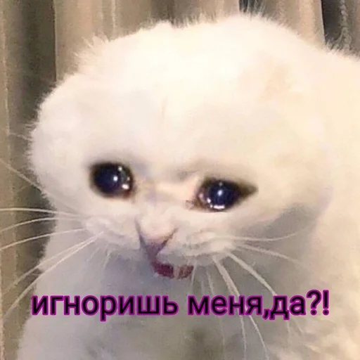 Kdnckr :: @fStikBot - 