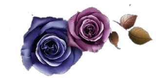 Стикер ℍ𝕖𝕒𝕣𝕥 𝕠𝕗 𝔽𝕚𝕣𝕖 𝕓𝕪 ℍ𝕚𝕥𝕒 - 9