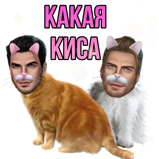 млекопитающее животное кошка