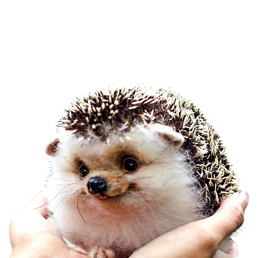 Sticker Милые ёжики и радость - 8