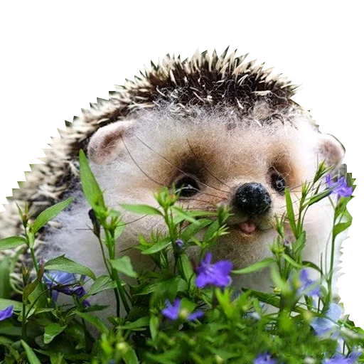 Sticker Милые ёжики и радость - 6