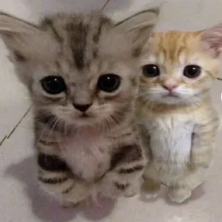 Стикер Хеехе - 3