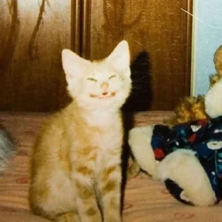 Стикер Хеехе - 9