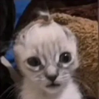 Стикер Хеехе - 6