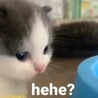 Стикер Hehe - 1