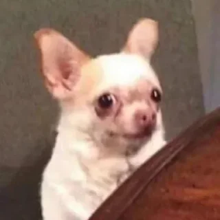 Sticker 💃🏻 - 2