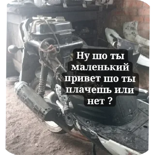 Sticker Хехехеххех - 6