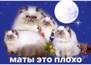 Sticker Hehehehehehehehe - 9