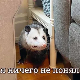 Sticker Hehehehehehehehe - 4