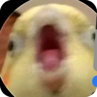 Sticker Хэээй - 2