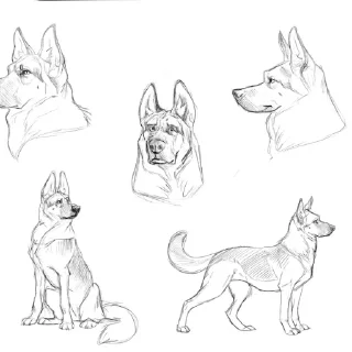 Sticker Хэээй - 6