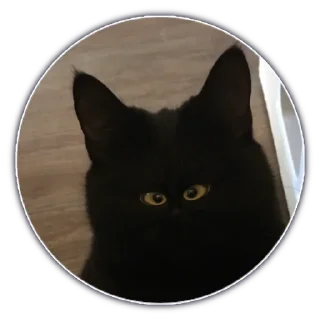 Стикер Hellmishel - 2