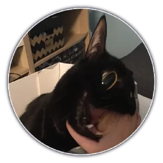 Стикер Hellmishel - 0