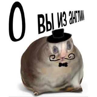 Sticker на все случаи - 5