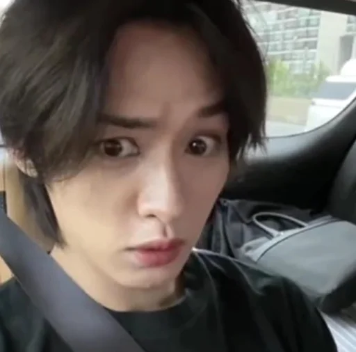 Sticker Henlix2285 - 1