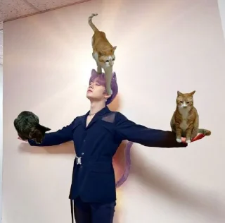 Sticker stray kids - 6