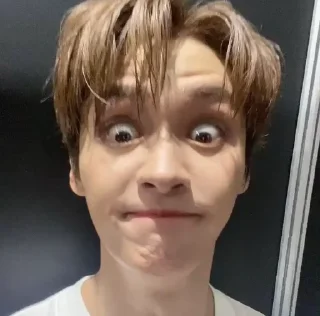 Sticker stray kids - 0