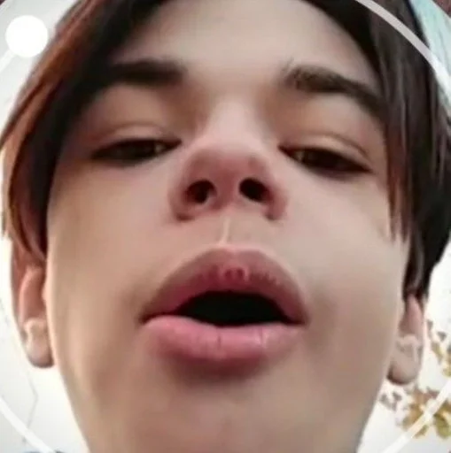 аниме тянки :: @fStikBot - 