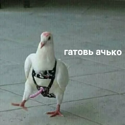 Стикер Стикеры канала Heresy(@heresyx) - 0