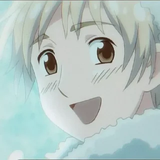 Sticker Хеталия=Финляндия - 8