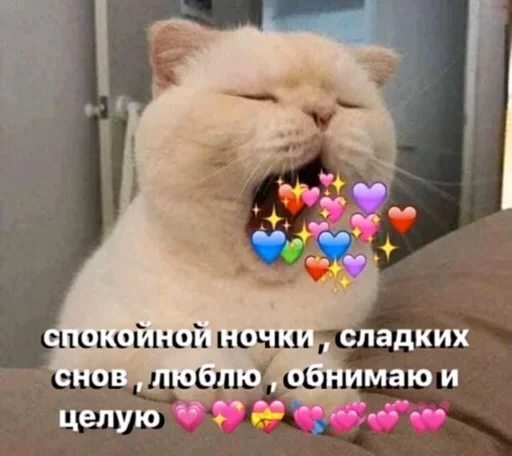 кошки малого и среднего размера млекопитающее кошка