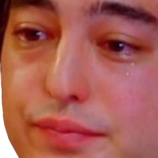 человеческое лицо Человек бровь