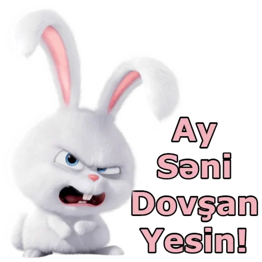 bunny cartoon rabbits and hares