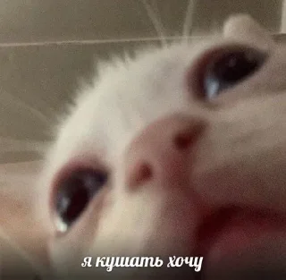 Sticker Больше стикеров 👉🏻 @stickertg4 - 2