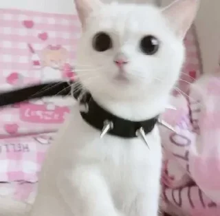 Sticker Больше стикеров 👉🏻 @stickertg4 - 7