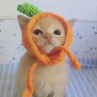 Sticker Больше стикеров 👉🏻 @stickertg4 - 6