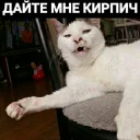 Стикер Hhhhgggggfff - 4